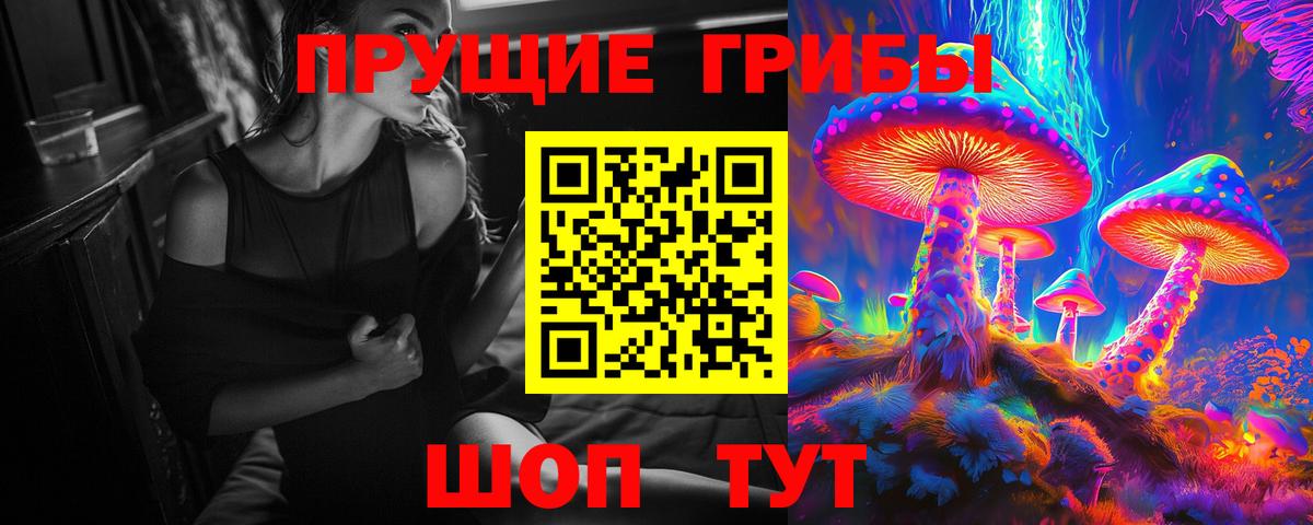 Галлюциногенные грибы MAGIC MUSHROOMS  Вход с VPN  Мариинск  Псилоцибиновые грибы GOLDEN TEACHER 