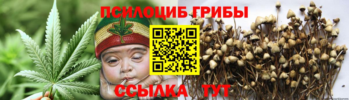 Псилоцибиновые грибы Psilocybine cubensis Мариинск